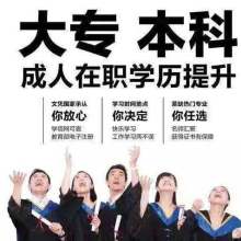 安徽徽网教育咨询公司